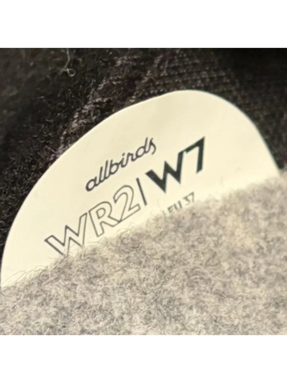 Allbirds please review